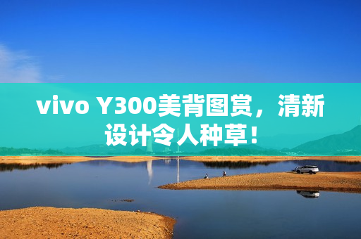 vivo Y300美背图赏，清新设计令人种草！