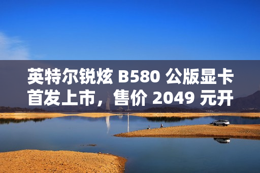 英特尔锐炫 B580 公版显卡首发上市，售价 2049 元开启抢购热潮