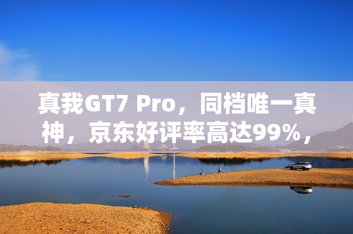 真我GT7 Pro，同档唯一真神，京东好评率高达99%，起售价仅3599元起！
