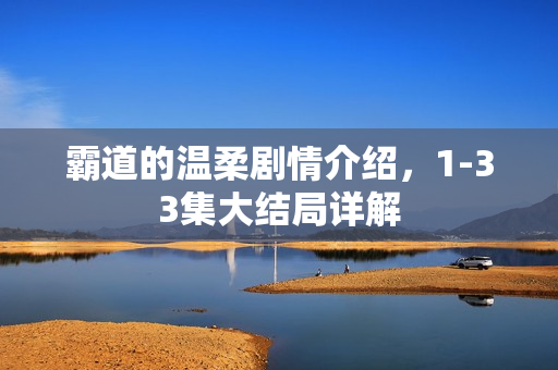 霸道的温柔剧情介绍，1-33集大结局详解