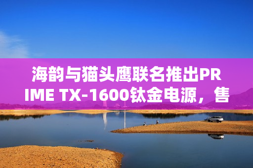 海韵与猫头鹰联名推出PRIME TX-1600钛金电源，售价4299元开售