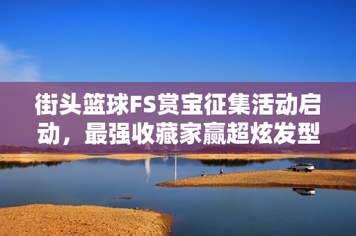 街头篮球FS赏宝征集活动启动，最强收藏家赢超炫发型，庆祝游戏19周年庆典