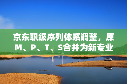京东职级序列体系调整，原M、P、T、S合并为新专业主序列P