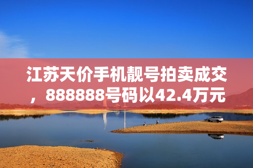 江苏天价手机靓号拍卖成交，888888号码以42.4万元成交