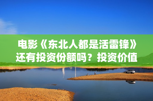 电影《东北人都是活雷锋》还有投资份额吗？投资价值怎么样？(看一下东北人)