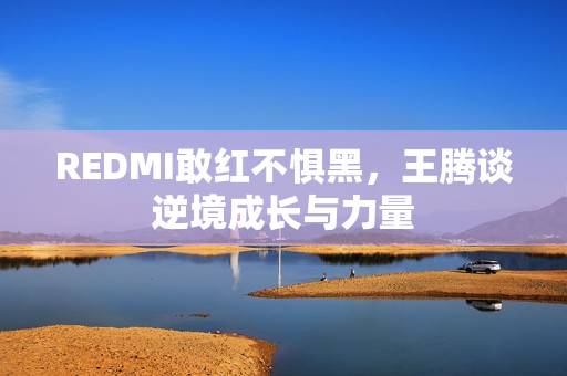REDMI敢红不惧黑，王腾谈逆境成长与力量