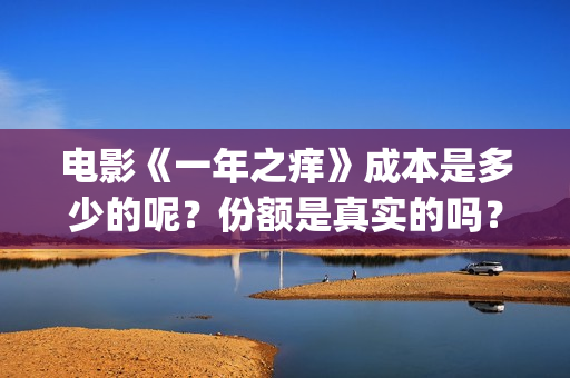 电影《一年之痒》成本是多少的呢？份额是真实的吗？在哪投资靠谱？(电影《一年之痒》在线看)
