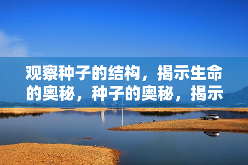 观察种子的结构,揭示生命的奥秘,种子的奥秘,揭示生命结构的秘密 观察种子的结构,揭示生命的奥秘,种子的奥秘,揭示生命结构的秘密