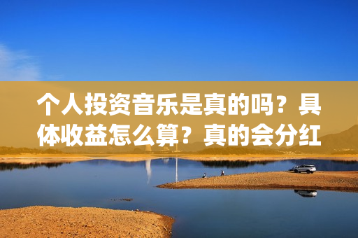 个人投资音乐是真的吗？具体收益怎么算？真的会分红吗？(个人投资音乐是做什么的)