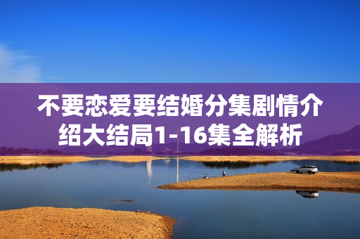 不要恋爱要结婚分集剧情介绍大结局1-16集全解析