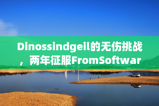Dinossindgeil的无伤挑战,两年征服FromSoftware游戏系列之旅 Dinossindgeil的无伤挑战,两年征服FromSoftware游戏系列之旅