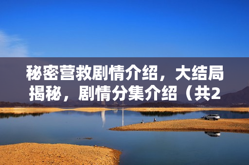 秘密营救剧情介绍，大结局揭秘，剧情分集介绍（共21集）