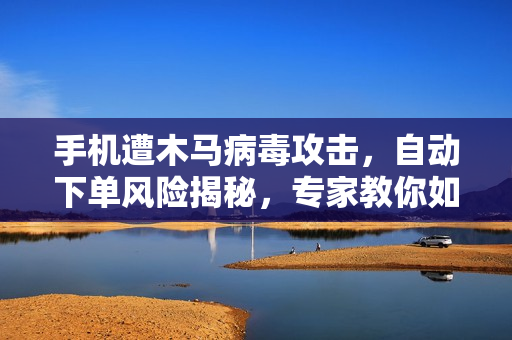 手机遭木马病毒攻击，自动下单风险揭秘，专家教你如何自查与处理