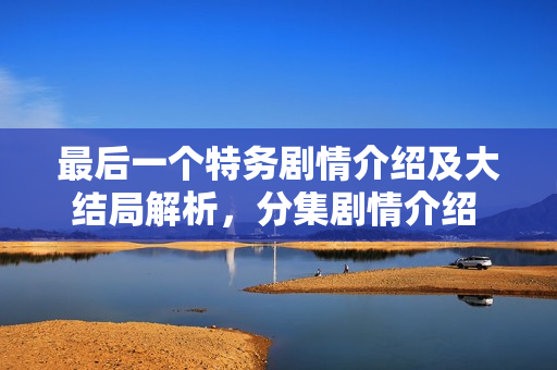 最后一个特务剧情介绍及大结局解析，分集剧情介绍 1-25集精彩回顾