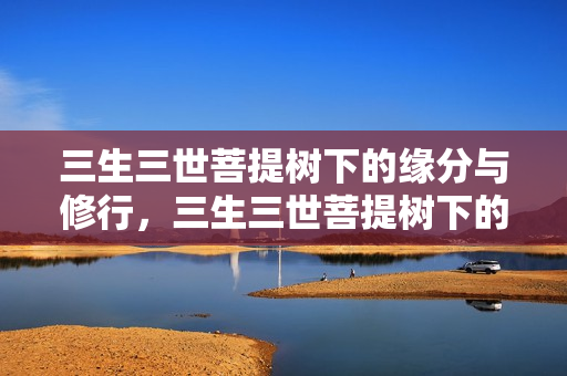 三生三世菩提树下的缘分与修行，三生三世菩提树下的缘分与修行之旅
