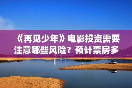 《再见少年》电影投资需要注意哪些风险？预计票房多少？(再见少年电影预告)