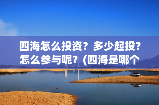 四海怎么投资？多少起投？怎么参与呢？(四海是哪个公司)