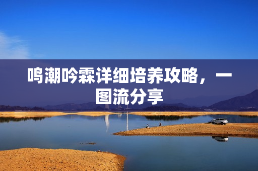 鸣潮吟霖详细培养攻略，一图流分享