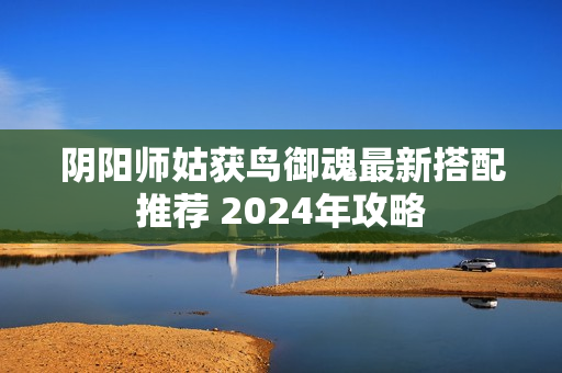 阴阳师姑获鸟御魂最新搭配推荐 2024年攻略