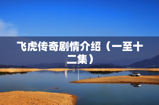 飞虎传奇剧情介绍（一至十二集）