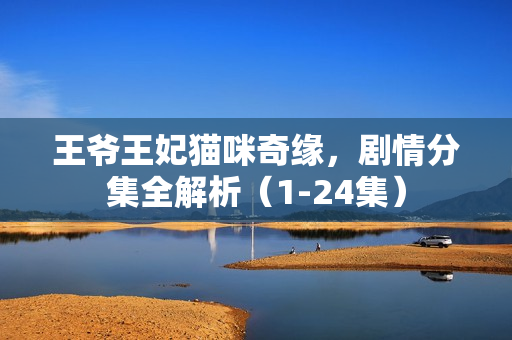 王爷王妃猫咪奇缘，剧情分集全解析（1-24集）