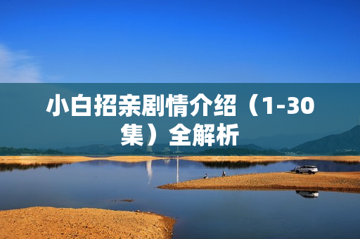 小白招亲剧情介绍（1-30集）全解析