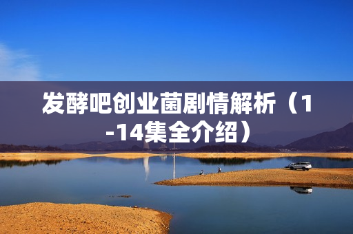 发酵吧创业菌剧情解析（1-14集全介绍）