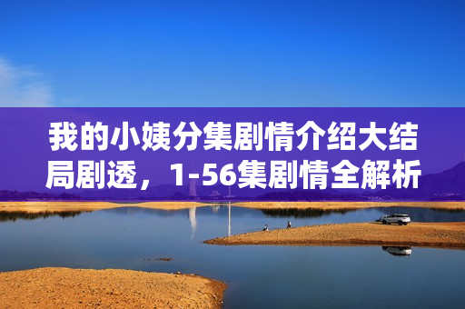 我的小姨分集剧情介绍大结局剧透，1-56集剧情全解析