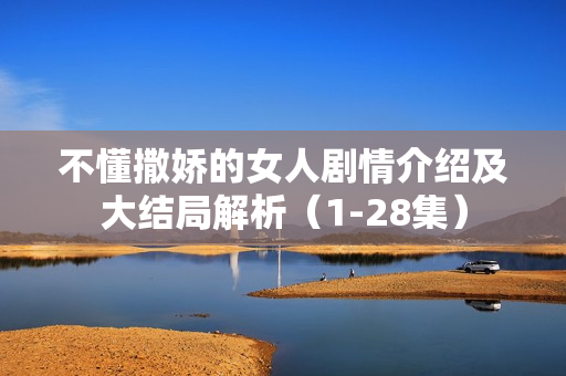 不懂撒娇的女人剧情介绍及大结局解析（1-28集）