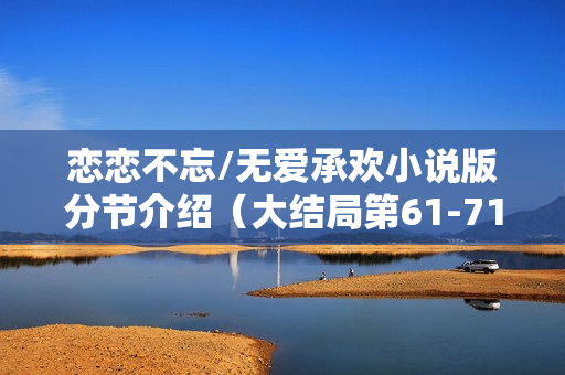 恋恋不忘/无爱承欢小说版分节介绍（大结局第61-71节）