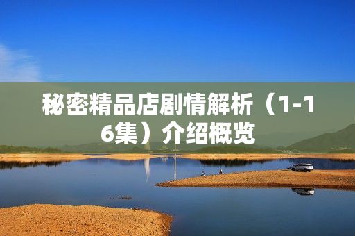 秘密精品店剧情解析（1-16集）介绍概览