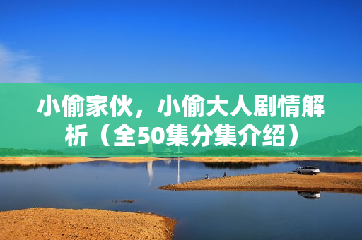 小偷家伙，小偷大人剧情解析（全50集分集介绍）