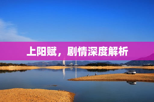 上阳赋，剧情深度解析