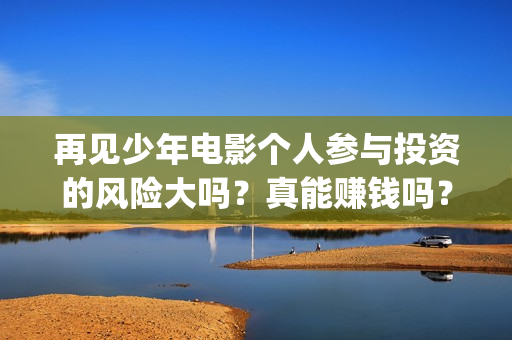 再见少年电影个人参与投资的风险大吗？真能赚钱吗？(再见 少年电影)