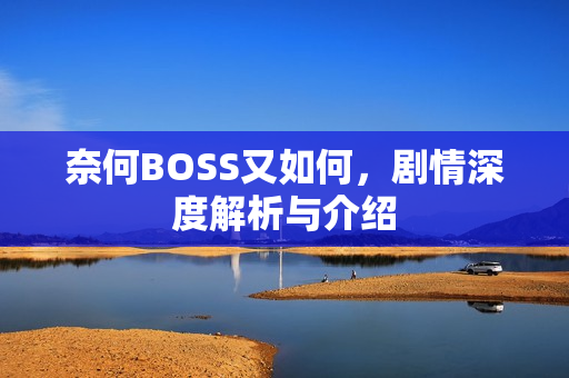 奈何BOSS又如何，剧情深度解析与介绍