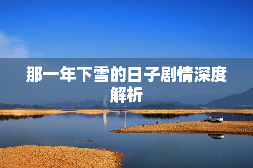 那一年下雪的日子剧情深度解析