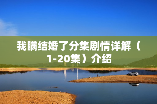 我瞒结婚了分集剧情详解（1-20集）介绍