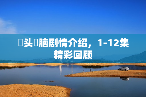 槑头槑脑剧情介绍，1-12集精彩回顾