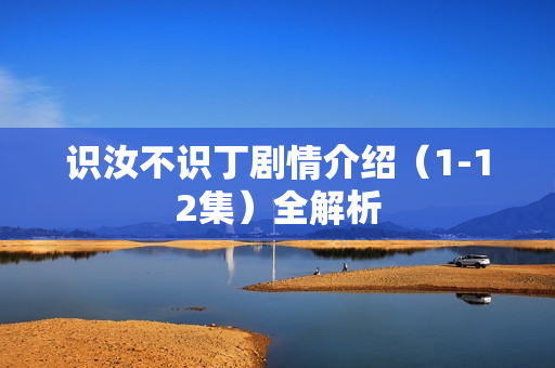 识汝不识丁剧情介绍（1-12集）全解析