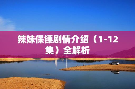 辣妹保镖剧情介绍（1-12集）全解析