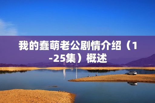 我的蠢萌老公剧情介绍（1-25集）概述