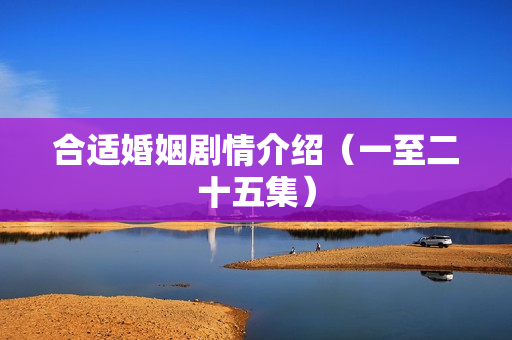 合适婚姻剧情介绍（一至二十五集）