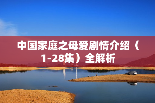 中国家庭之母爱剧情介绍（1-28集）全解析
