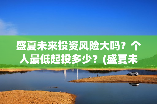 盛夏未来投资风险大吗？个人最低起投多少？(盛夏未来出品公司)