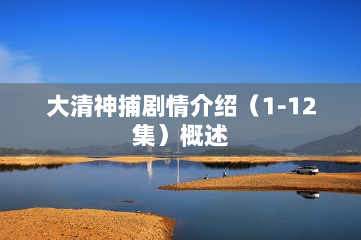 大清神捕剧情介绍（1-12集）概述