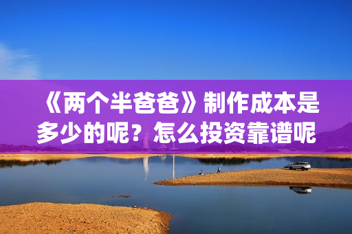 《两个半爸爸》制作成本是多少的呢？怎么投资靠谱呢？收益高吗？(电影两个半爸爸出品人)