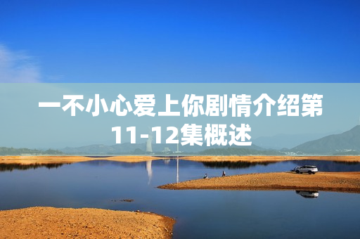 一不小心爱上你剧情介绍第11-12集概述