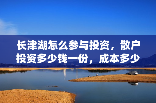 长津湖怎么参与投资，散户投资多少钱一份，成本多少？(长津湖 链接)
