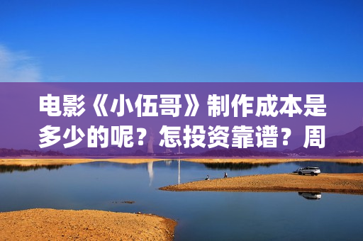 电影《小伍哥》制作成本是多少的呢？怎投资靠谱？周期是多久的呢？(电影小伍哥出品方是谁)