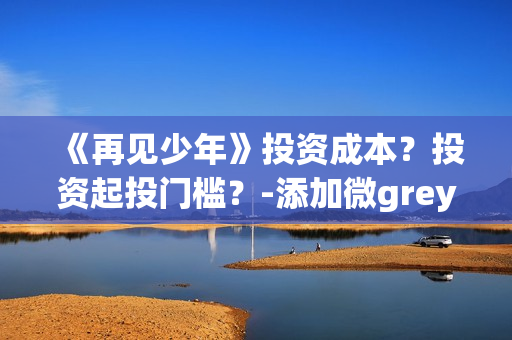 《再见少年》投资成本？投资起投门槛？-添加微grey121415(电影再见少年投资)